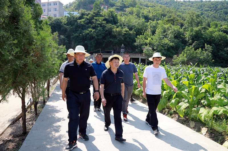 1528849717537811NIqW.jpg 7G6A3879_¸±±¾.jpg